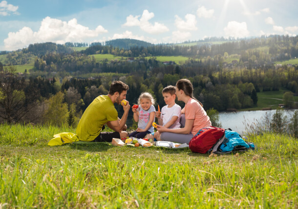     JUFA Hotels - Ausztria: családi piknik a szabadban 